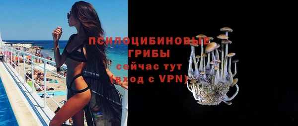 твердый Алзамай