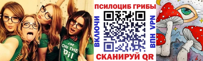 Псилоцибиновые грибы Psilocybine cubensis  мориарти клад  Красноармейск 