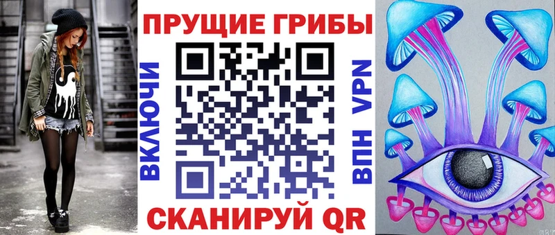 Галлюциногенные грибы Psilocybine cubensis Красноармейск