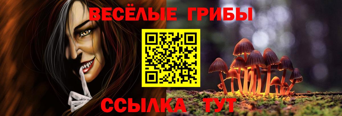 Псилоцибиновые грибы GOLDEN TEACHER  Вход с VPN  Красноармейск 